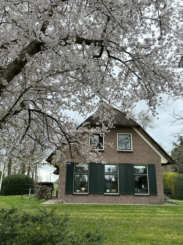 荷蘭🇳🇱童話小鎮羊角村（Giethoorn）