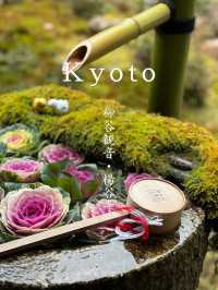 【京都・長岡京市】🍃 柳谷観音 楊谷寺 で心洗われる冬のひととき✨