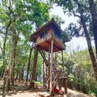 ชมทิวเขาในอุทยาน
