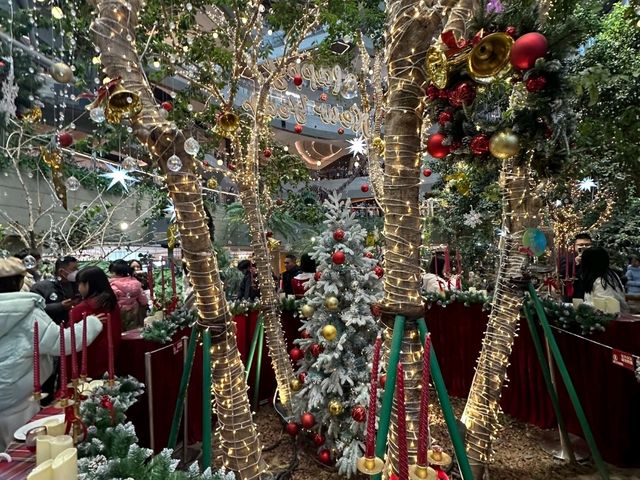 Botanical garden inside The Ring shopping mall