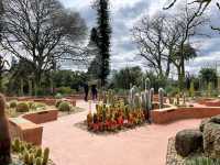 Romancing the Roses (and Everything Else) at Fitzroy Gardens