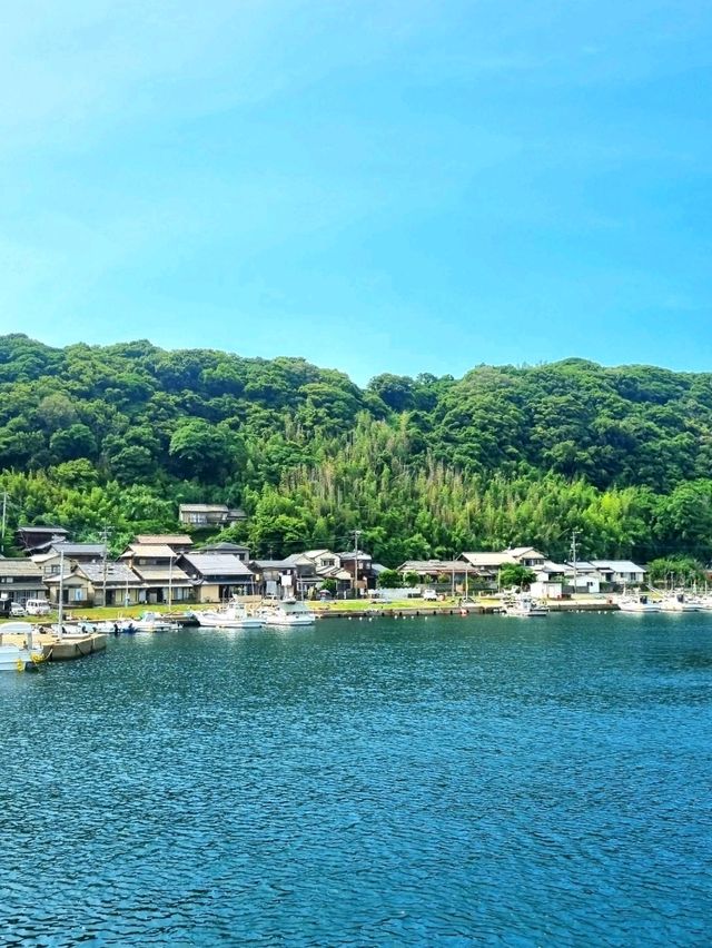 🌊 후쿠오카 아이노시마, 고양이와 바다가 함께하는 힐링 섬! 🐾