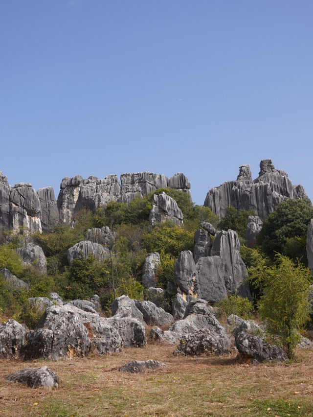 A Breathtaking Escape to Kunming’s Stone Forest – My Favorite Itinerary