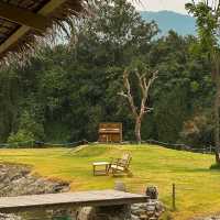 Serene House Cafe 