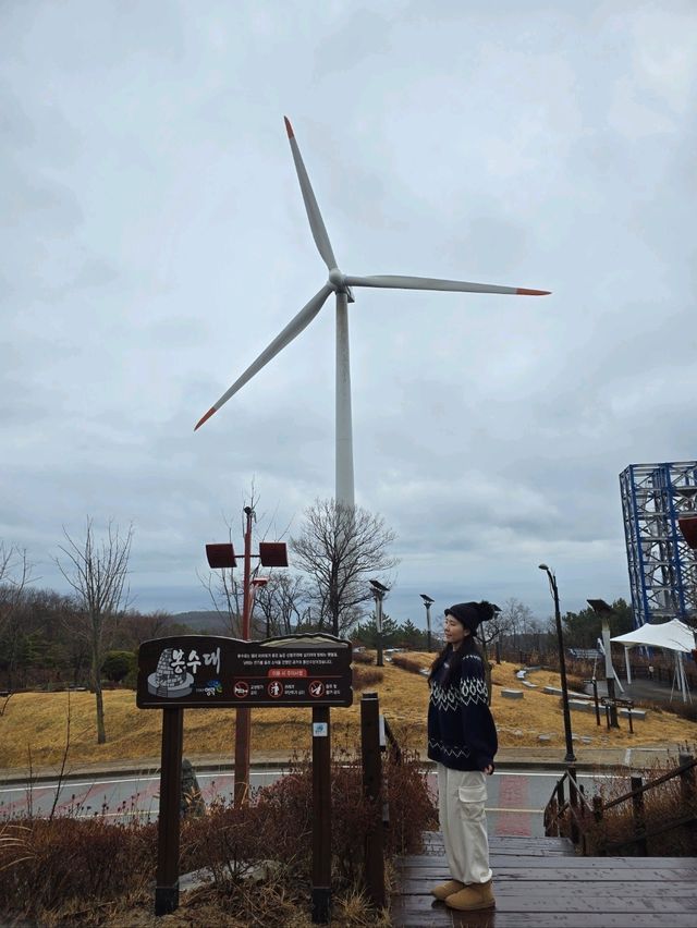흐려도 운치있던 영덕 오션뷰 해파랑공원💙