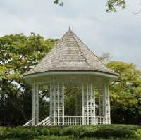 Escape to Nature’s Oasis: A Romantic Stroll Through Singapore's Iconic Gardens