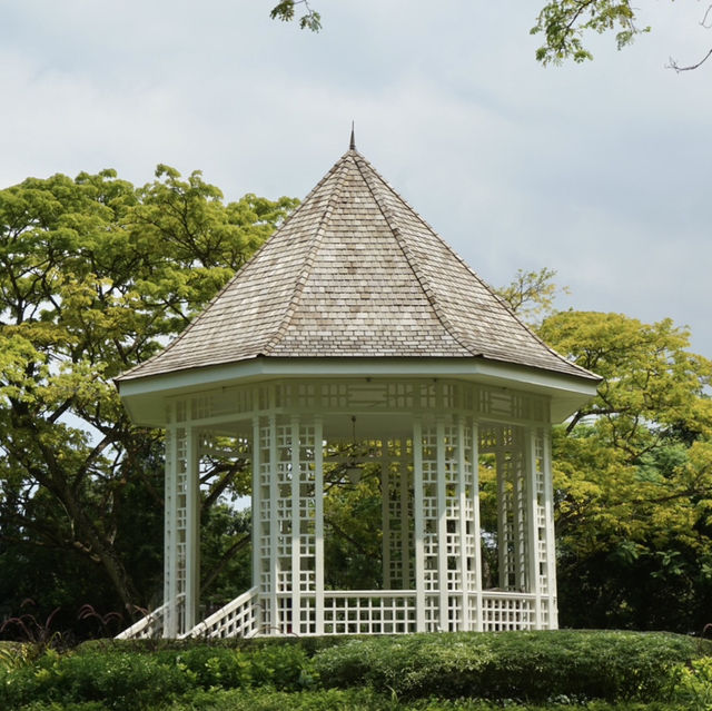 Escape to Nature’s Oasis: A Romantic Stroll Through Singapore's Iconic Gardens