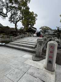 【福岡観光】御神木の大きさに驚き🌳地元で愛される神社⛩