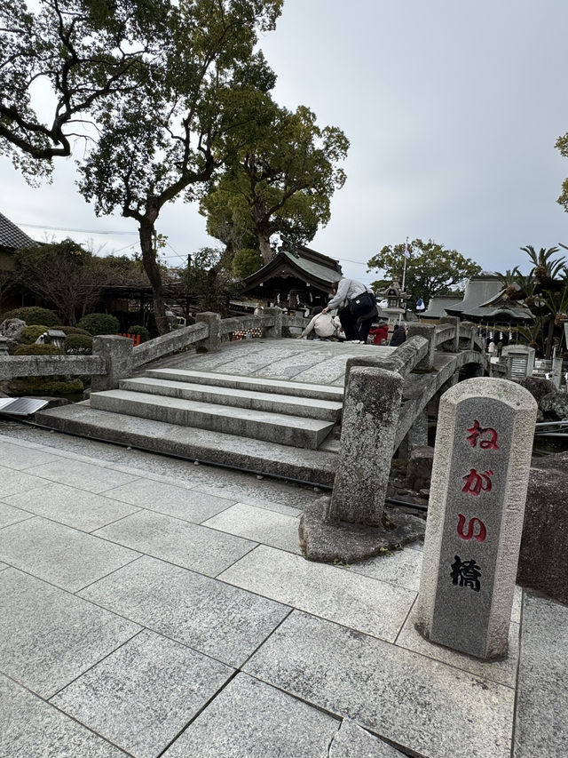 【福岡観光】御神木の大きさに驚き🌳地元で愛される神社⛩