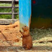 ~上野動物園~愉快動物世界~