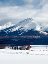 2 Days in Sapporo: A Winter Wonderland Adventure