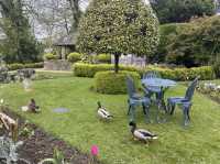The Swan Hotel: A Historic Retreat in the Heart of the Cotswolds