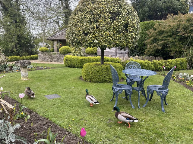 The Swan Hotel: A Historic Retreat in the Heart of the Cotswolds
