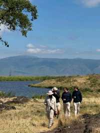 🦁 Explore Serengeti National Park, Tanzania – A Safari Like No Other! 🌿🐾