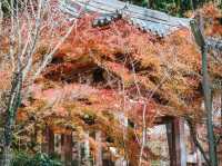 Daigoji Temple