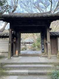 【鎌倉×初春日帰り旅】  「花の寺」として有名  梅の名所