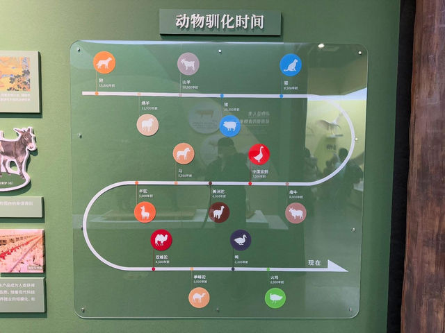 중국 베이징 자연사 박물관 입니다. 