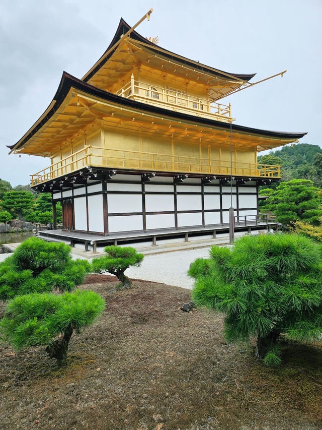 金閣寺：人多但美的讓人不想離開！