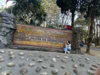 อุทยานแห่งชาติภูหินร่องกล้า