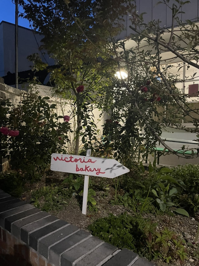 【韓国📍景福宮】景福宮行く人は必ず行ってほしい可愛いカフェ☕️♥️
