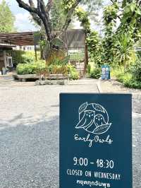 จิบกาแฟท่ามกลางสวนร่มรื่น ที่ Early Owls