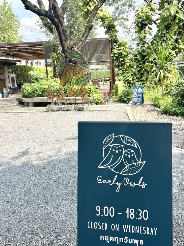 จิบกาแฟท่ามกลางสวนร่มรื่น ที่ Early Owls