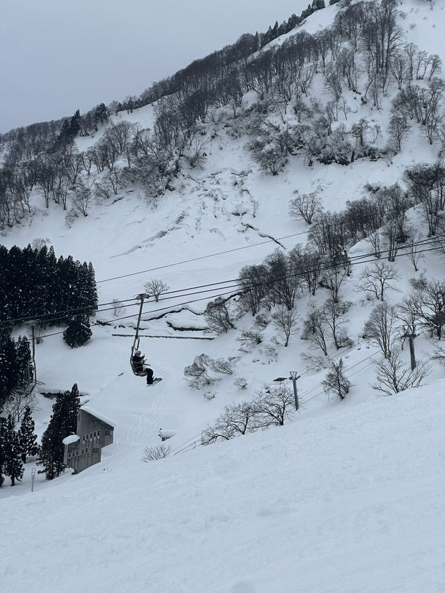 越後湯澤滑雪之旅：白雪皚皚中的美好回憶