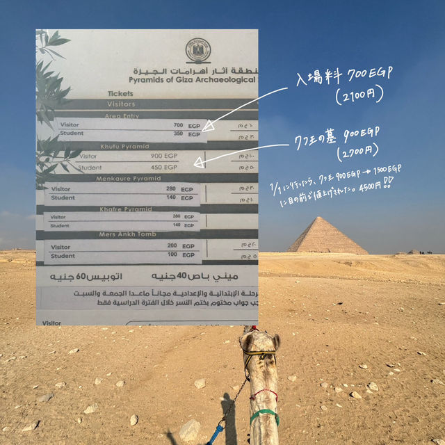 🇪🇬エジプトのピラミッドに行ってきました‼️