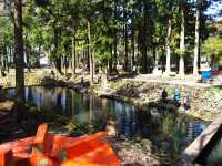 【静岡・富士宮】富士養鱒場🎣