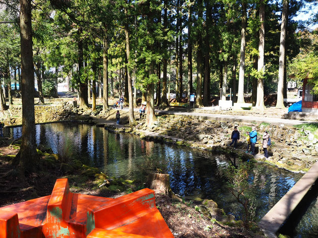 【静岡・富士宮】富士養鱒場🎣
