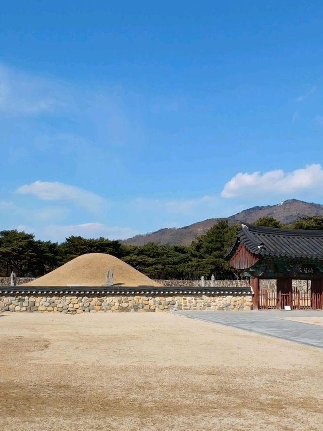 하루만에 마스터하는 가야 역사 여행 코스