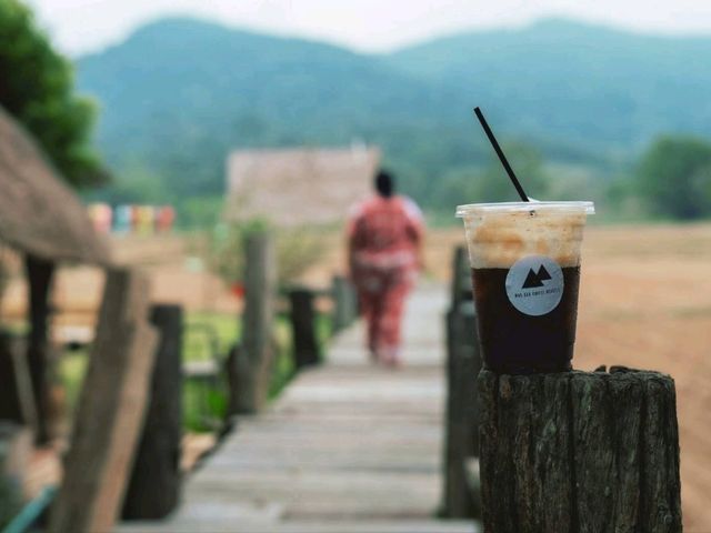 เมาเขา คอฟฟี่ เชียงราย  ⛰️