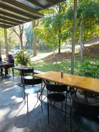 A Hidden Green Escape – The Glasshopper Café