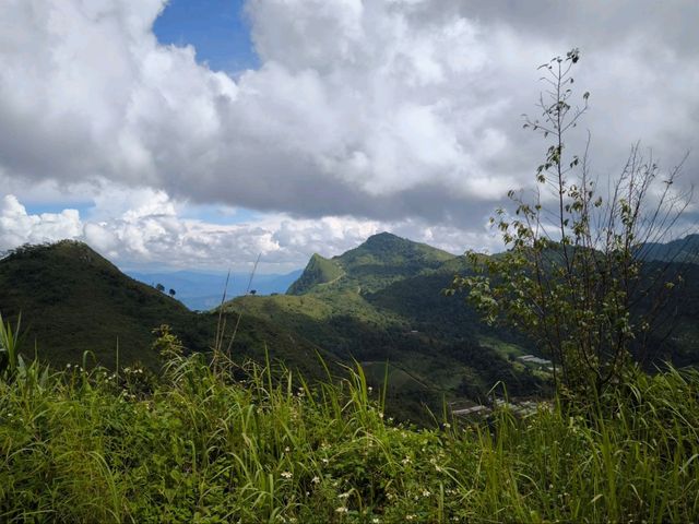Doi Pha Tang: Hidden gem in northern Thailand