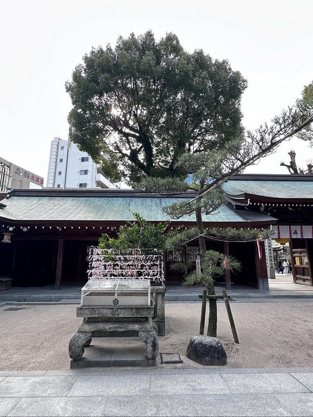 ศาลเจ้าคูชิดะ เมืองฟุกุโอกะ 🇯🇵