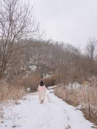 분단의 아픔과 역사, 철원의 아름다운 자연 그리고 우리집 강아지가 함께한🤎