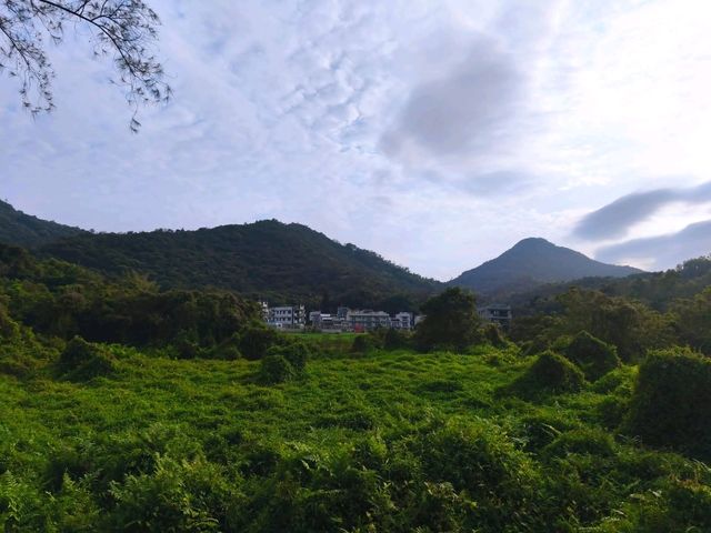 郊遊散步和燒烤的好去處