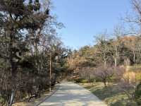 「威海山區肺」 環翠樓公園，仲有平價6頭鮑食！