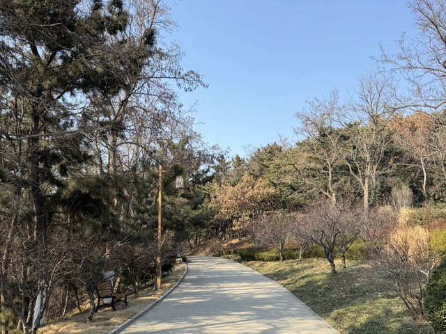 「威海山區肺」 環翠樓公園，仲有平價6頭鮑食！