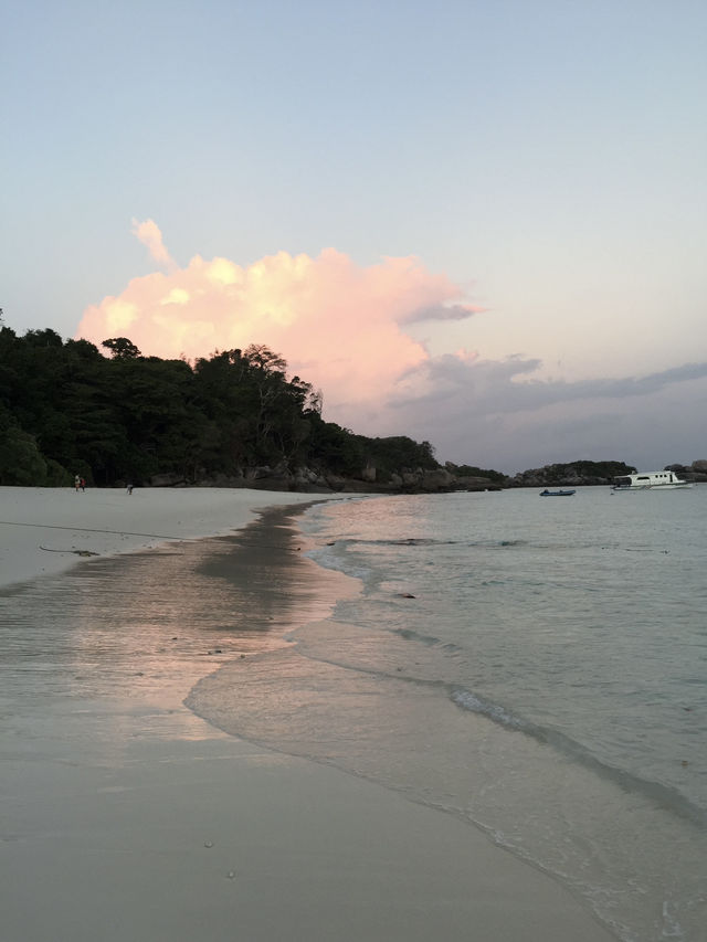 เกาะสิมิลัน น้ำใสทะเลสวย ดำน้ำฟินสุด