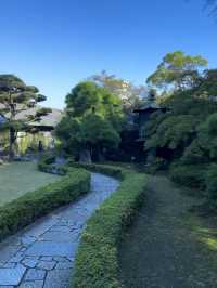 日本根津美術館｜藝術與自然的完美結合 ✨