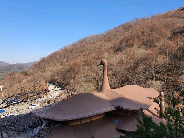 신비로운 기운 가득! 하동 삼성궁 🌿⛩