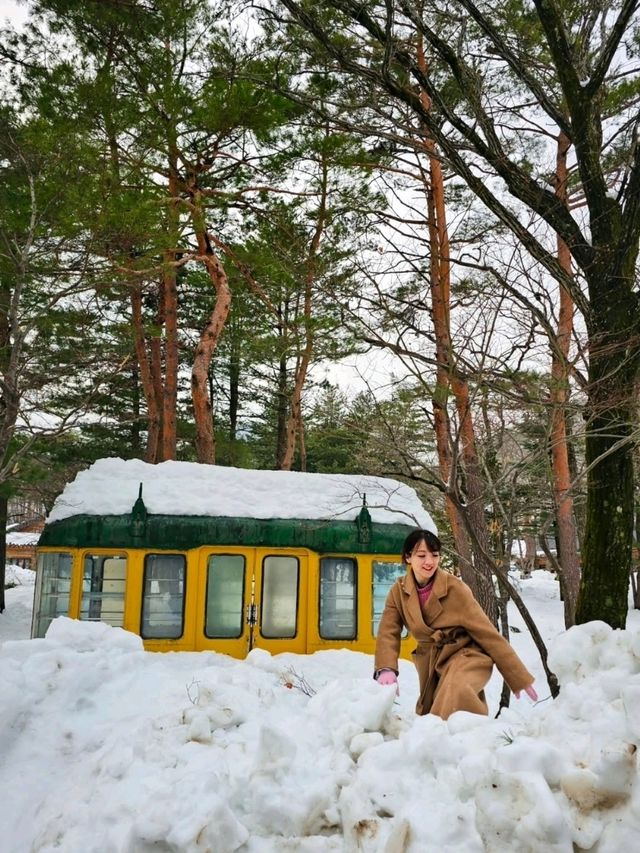 雪嶽山설악'산국립공원