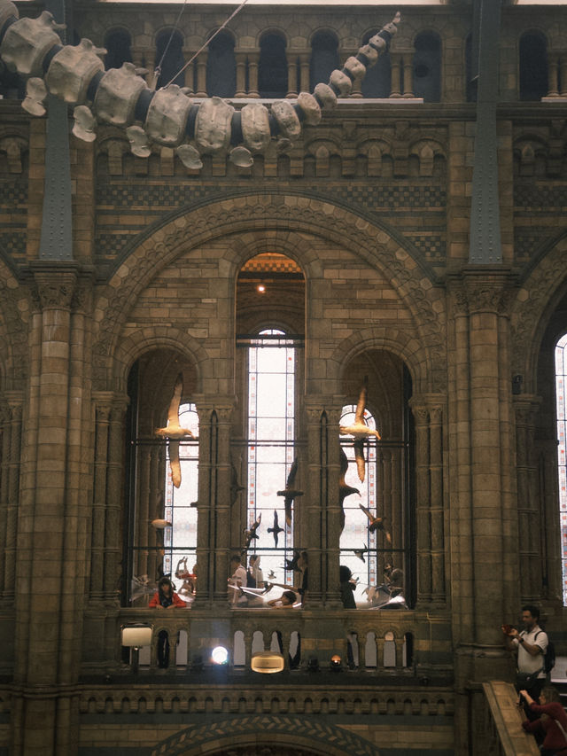 🦖 Visiting the Natural History Museum, London – Essential Tips!