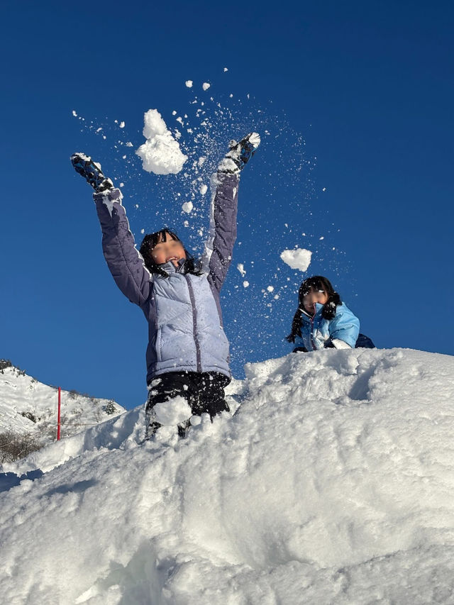 越後湯澤玩雪趣