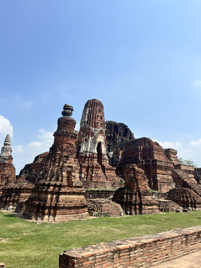 🇹🇭✅ワット・マハタート攻略ガイド｜アユタヤの神秘を体験 🌿