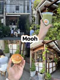แชร์คาเฟ่ตัวเมืองเชียงใหม่ ห้ามพลาด🌟