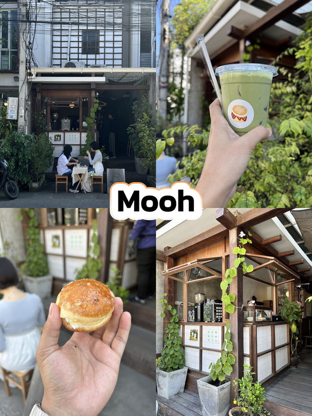 แชร์คาเฟ่ตัวเมืองเชียงใหม่ ห้ามพลาด🌟