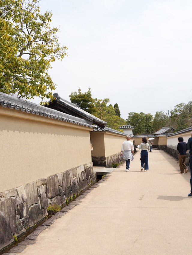 【兵庫×春旅】  