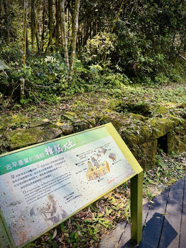 圓潭自然生態園區：隱藏在山林間的綠色秘境